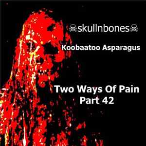 ☠skullnbones☠ / Koobaatoo Asparagus - Two Ways Of Pain Part 41 Album