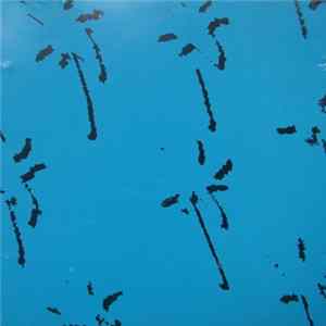 Mazzoll - Single 3 Album