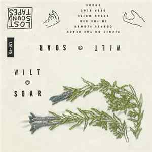Soar - Wilt Album