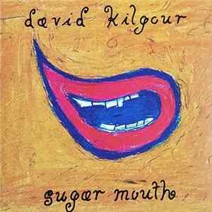 David Kilgour - Sugar Mouth Album