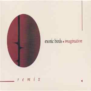 Exotic Birds - Imagination Album