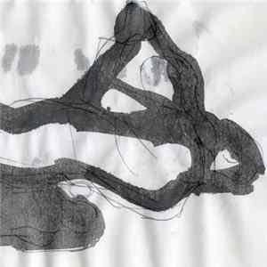 Gabriele de Seta - 51​:​26 (The Shark and the Crocodile) Album