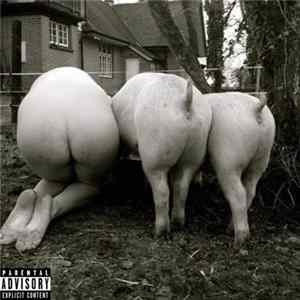 MC VAGINATOR, X's Xenial Xanthippes Xenophobia, An Urethral Carcinoma, Untitled MC, MC Pyskin - Гимн Грайнда Album