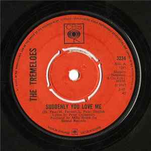 The Tremeloes - Suddenly You Love Me / As You Are Album