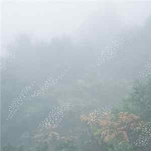 Chihei Hatakeyama - Mist Album