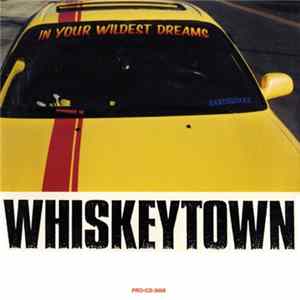 Whiskeytown - In Your Wildest Dreams Album