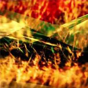 Chris Carter - Cernubicua Album