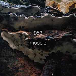 Moopie - A Colourful Storm 053 Album