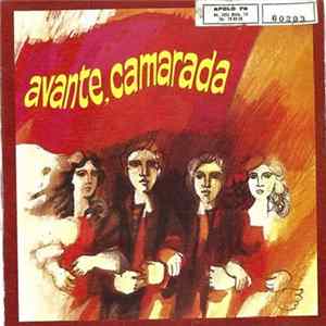 Various - Avante, Camarada Album