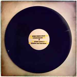 A Digital Needle - Doin' It Doin' It / Better Late Than Never Album