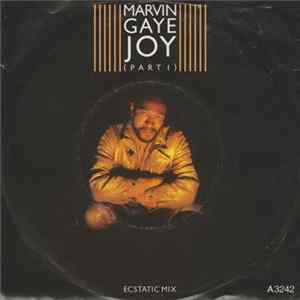 Marvin Gaye - Joy (Part 1) Ecstatic Mix Album