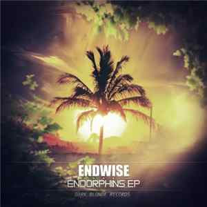 Endwise - Endorphins EP Album