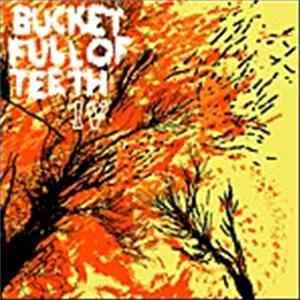 Bucket Full Of Teeth - IV Album