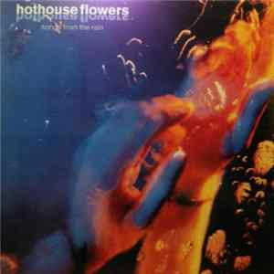 Hothouse Flowers - Songs From The Rain Album