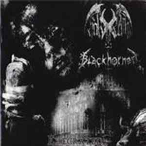 Hak-Ed Damm / Blackhorned - Execrated Album