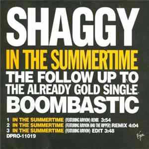 Shaggy, Rayvon - In The Summertime Album