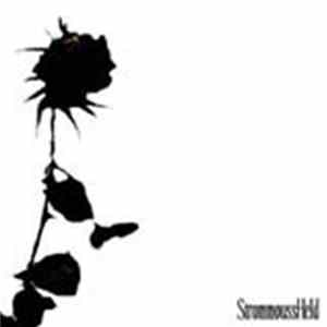 StrommoussHeld - My Microcosmos Album