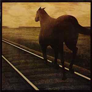 Bruce Cockburn - Night Vision Album