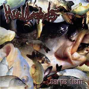 Muculords - Carpe Diem Album