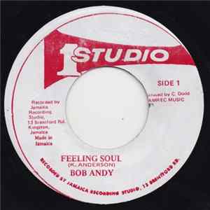 Bob Andy - Feeling Soul Album
