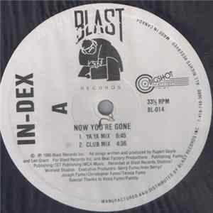 In-Dex - Now You're Gone Album