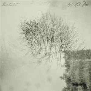 Beehatch - Oh Noh Me Album