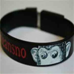 Nomeansno - USB Flash Drive Album