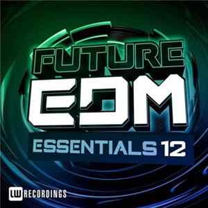 Various - Future EDM Essentials 12 Album