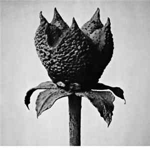 Masayoshi Fujita - Book Of Life Album