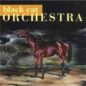 Black Cat Orchestra - Black Cat Orchestra Album