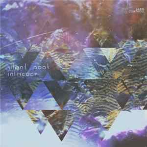 Silent Nook - Intricacy Album