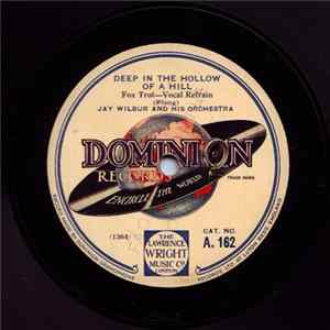 Jay Wilbur And His Orchestra / Vincent Richards And His Orchestra - Deep In The Hollow Of A Hill / Huggable, Kissable You Album