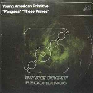 Young American Primitive - Pangaea / These Waves Album