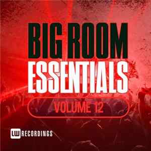Various - Big Room Essentials Volume 12 Album