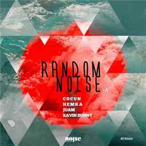 Various - Random Noise Album