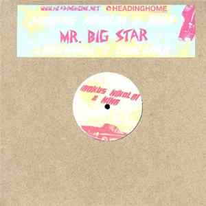 Markus Nikolai & Nina - Mr. Big Star Album