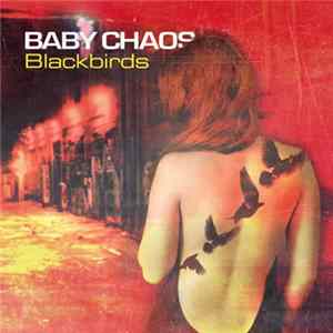 Baby Chaos - Blackbirds Album