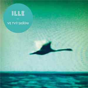 Ille - Ve Tvý Skříni Album