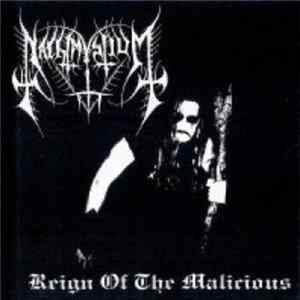Nachtmystium - Reign Of The Malicious Album