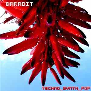 Baradit - Techno Synth Pop Album