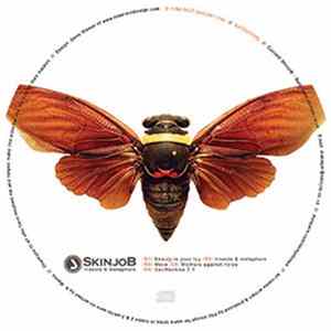 SkinjoB - Insects & Metaphors Demo Album