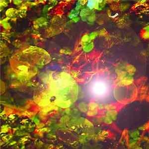 Alien Mutation Vs Indigo Egg - Microcosmacrocosm Album