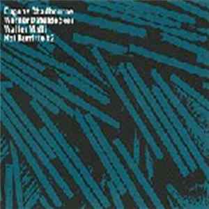 Eugene Chadbourne & Werner Dafeldecker & Walter Malli - Hot Burrito #2 Album
