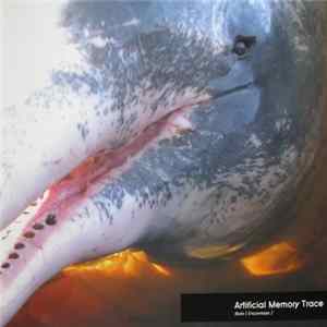 Artificial Memory Trace - Boto [Encantado] Album
