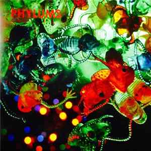 Phylums - Phylum Phyloid Album