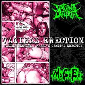VxDx / MxGxEx - Vaginal Erection Album