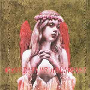 Camerata Mediolanense - 99 Altri Perfecti Album