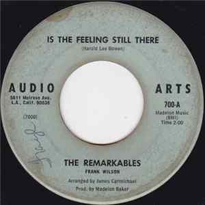The Remarkables - Is The Feeling Still There / Easily Mislead Album