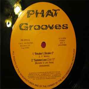 Various - PhatMix Album