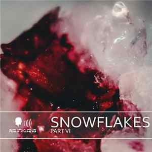 Various - Snowflakes VI Album